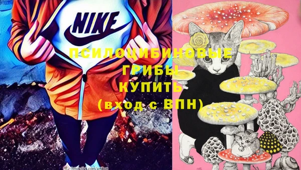2c-b Богданович