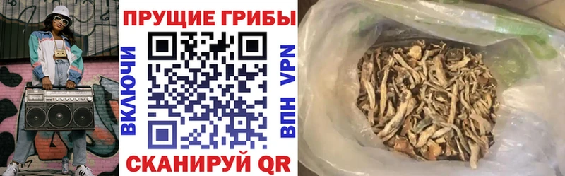 Галлюциногенные грибы прущие грибы  продажа наркотиков  Белгород 